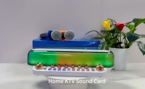 Bluetooth Speaker Wireless 6D Surround Sound Portable Karaoke Speaker with 2 Wireless Microphone Sound Extra Bass Sound