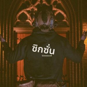 เสื้อฮู้ดผ้าฝ้ายพิมพ์ลายโลโก้ SIG Classic สไตล์แทคติคอล สำหรับฤดูใบไม้ร่วงและฤดูหนาว เสื้อฮู้ดแฟชั่นยอดนิยมสำหรับผู้ชายสไตล์อเมริกัน เสื้อฮู้ดลำลอง