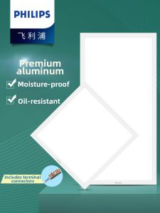 Philips | Bathroom Ceiling Light 300x600mm