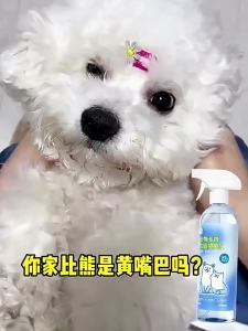 hipidog | Nước I-on Xóa Mờ Dấu Nước Mắt Cho Thú Cưng Không Cần Rửa