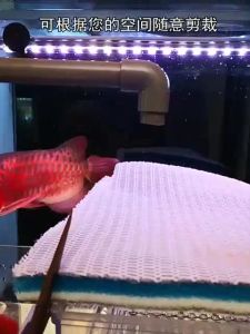 Busa Kapas Filter Aquarium Kolam 8D 8 Layers Import Tahan Lama Bahan Tebal