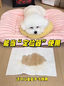 Pet Training Pad 33×45cm 宠物尿垫 吸水防漏宠物尿片 Puppy Pee Pad Leakproof Disposable Pet Toilet Pad 40/50pcs