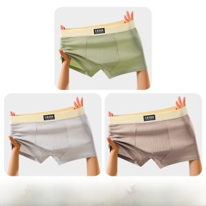 MiiOW | กางเกงบ็อกเซอร์ชายผ้าฝ้ายแท้ ป้องกันแบคทีเรีย ระบายอากาศได้ดี ทรงสี่เหลี่ยม กางเกงขาสั้นไซส์ใหญ่ ฤดูร้อน 2025 แบรนด์ MiiOW Catman