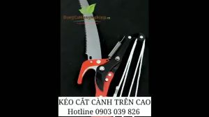Đầu kéo tỉa cành cắt cành cây trên caohái quả kết hợp cưa cành