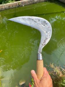 Arit rumput baja asli baja