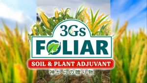 3Gs Japan Super Foliar Fertilizer Soil & Plant Growth Enhancer Vegetable Rice Red and Green 250ML with Measuring Cup