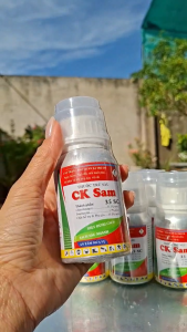 (Chai 100ml) Thuốc Trừ Sâu CK SAM 35SC [Chuyên Lúa] đặc trị Sâu đục thân Sâu cuốn lá: Sự kết hợp độc đáo của 2 hoạt chất Chlorfenapyr & Ivermectin: lưu dẫn thấm sâu sâu ngừng ăn ngay sau phun.