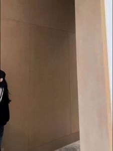 COD  Kot Bulu Domba Tiruan Jenis Baru Musim Gugur dan Sejuk Wanita Fesyen Longgar Pakaian Seragam Besbol Tebal Bulu Beludru  CNN