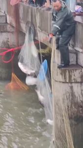 แฮนด์เมดอเมริกันทะเลตกปลาสุทธิ ตกปลาทะเลหล่อสุทธิ โยนหนักหล่อสุทธิ ตาข่ายประมงหมูน