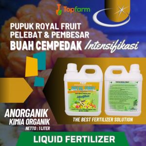 Pupuk Organik Cair Serbaguna / Pupuk Khusus Buah Cempedak / Pupuk Buah Cempedak / Pupuk Pelebat Buah Cempedak / Obat Pembesar Buah Cempedak