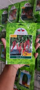 Benih Cabe BAJA F1 - tahan virus tahan kekeringan