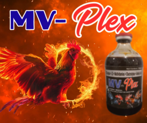 MV-Plex (BComplex + LE + Multivitamins + Electrolytes + Amino Acid)