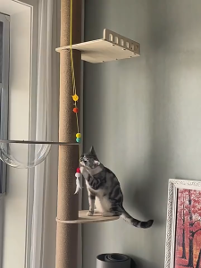 Papapet Ceiling Cat Tree 5 Tier PH Homes No Drill Installation Free Sisal Posts Cat Condo Cat Tree