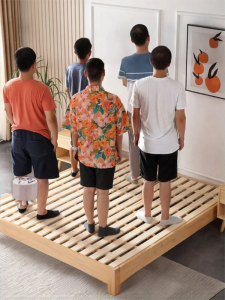 SENYATE | Folding Moisture-Resistant Thickened Bed Slats