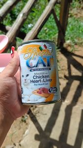 400g Special Cat Wet Can Food Mousse Pet Essentials All Stages Adult Kitten DR Pet Supplies