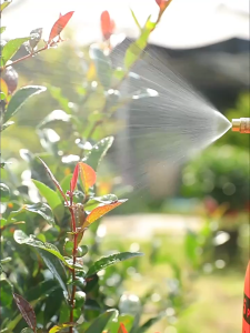 Hand Pressure Sprayer Brass Nozzle Pump Garden Spray Bottle for Watering and Cleaning