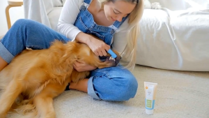 Oxyfresh Pet Thoothpaste ยาสีฟันสำหรับสุนัขและแมว ขนาด 113 กรัม