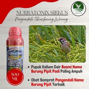 TERMURAH Pupuk semprot atasi hama burung padi terampuh - Obat Semprot Pengendali Hama Burung Pipit Sawah Terbaik - Obat Pengusir Hama Padi Seperti TikusBurung dan wereng - NURRATONIX SIRKUS 500ML ORIGINAL 100%