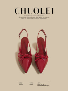 CHUOLEI | Red French Elegant High Heels Mary Jane Shoes