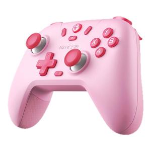 GameSir | Wireless Gamepad Multi-color Edition PC Switch Xbox