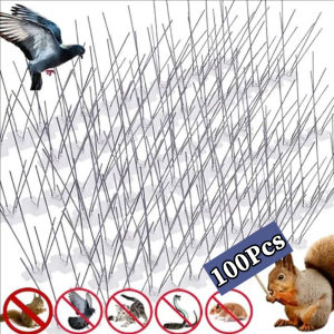 50/100 ชิ้น หนามกันนกสแตนเลส / หนามรั้ว / หนามกันนก / หนามกันนกที่ชายคาระเบียง / หนามกันนกพิราบ / หนามกันนกและแมว