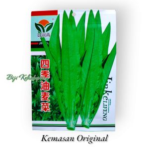 BENIH SELADA SIOMAK CHINESE LETTUCE (KEMASAN ORIGINAL ) ISI -+ 3000 BUTIR