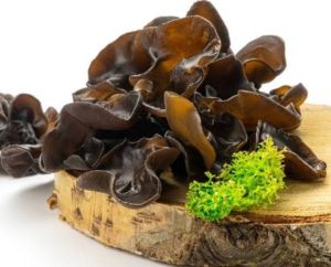 Jamur Kuping Konsumsi Hidangan Makanan Baik Untuk Kesehatan Siap Olah Untuk Makanan