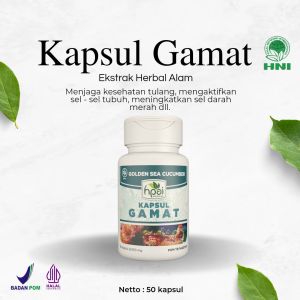 Gamat - HNI HPAI - Membantu Meredakan Nyeri Sendi - Original