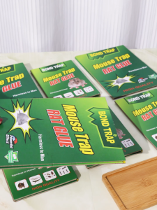 50Pcs Mouse Rat Glue Trap Rodent Expert Mouse Trap Rat Glue Big Size Rat Glue Snare Sticker Mice Board  22x16cm