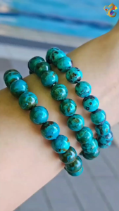 Collection Grade Chrysocolla Bracelet