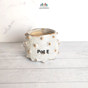 The Leaferie Petit Pots (Series 16) small mini plant pots. flowerpot . flower pot planter planters