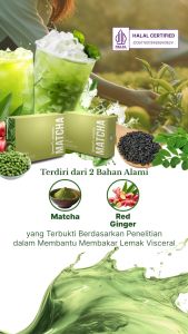 Supergreen Matcha Apple TRIAL SACHET | Mealblend Support - MEMBAKAR LEMAK MELANCARKAN METABOLISME MENINGKATKAN IMUN DAYA KONSENTRASI | Spencers Meal Blend - 2 Sachet