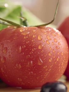 Toaster Sandwich Bread Maker Automatic Bread Machine Sandwich Multi-Function Small Toaster Toaster Maker