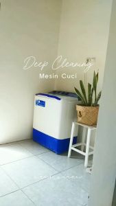 Pembersih Mesin Cuci Antibakteri 1Kg I Lx Official Store