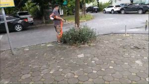 Máy cắt cỏ Oshima 541 nhập khẩu