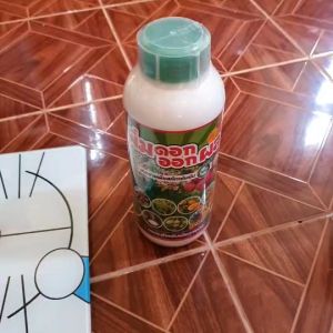 ชื้อ2 สูง คูม แคลเชียม โบรอนและสาหร่าย เปิดตาดอก แตกตาดอก และแตกตากิ่ง การผ่าตัดเสริมจมูกที่ปลอดภัยและสวยด้วย