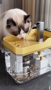 Cat automatic water dispenser pet dog universal electric circulating flow water dispenser