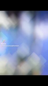 เลือก ดางปลิว เอ็นเบอร์ 0.12 - 0.15 ขนาด 2.5 - 14 เซน ลึก 20 25 30 40 50 ตา พร้อมใช้งาน ตาข่ายดักปลา ตาข่ายเอ็น เนื้ออวน ข่ายดักปลา ดาง อวน มอง เอ็น เนื้อดาง เนื้ออวน