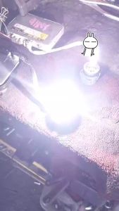 (Origina) Hid Bulb D2S D2R D4S D4R OSRAM PHILIPS KOITO - USED ITEM JAPAN