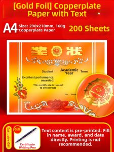 Feiyu | Custom Gold Embossed Dignified Style Award Certificate Paper A4