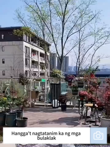 ⚡Plant Doctor⚡insecticide for flowers 500ml plant insecticide spray