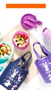 Tas Bekal Set Free Sendok Garpu Kotak Makan Anak Lunchbox Set