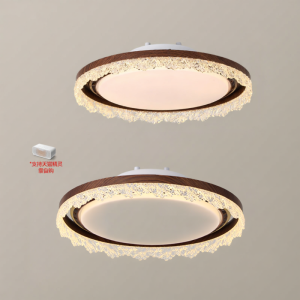 DGY | Antique Style Bladeless Ceiling Light