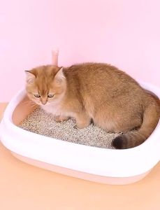 [FREE SCOOP] Cat Litter Box With Scooper High Quality High Base and Low Base Kitten Cat Kitten Litter Box