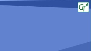 Tinh Dầu Bạc Hà Nguyên Chất GT - Xông Phòng Đuổi Chuột Hương Thơm The Mát