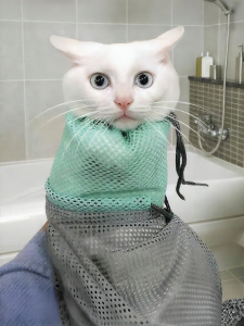 ZHUCHONG | Anti-Scratch Bath Stress Relief Grooming Bag Cat