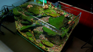 โคมไฟ 13W สามารถปรับได้ 360° โคมไฟตู้ปลา LED RGB โคมคลิป กันน้ำสำหรับปลูกพืชในตู้ปลา Fish Tank Light Aquarium Fish Tank Light