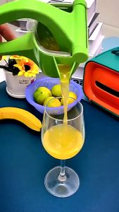 Manual Juicer Fruit Squeezer Juice Squeezer Lemon Orange Juicer Press Household Multifunctional