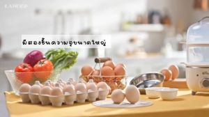 เครื่องนึ่งไข่ ต้มไข่ หม้อหุงไข่ อาหารเช้า เครื่องทำไข่ หม้อหุงไข่ ฟองเครื่องนึ่งไข่ในครัวเรือนสองชั้น เครื่องทำหม้อต้มไข่ไฟฟ้าอ