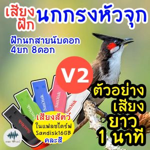 เสียงนกกรงหัวจุกสําหรับฝึก V.2 เมม/แฟลชไดร์ฟเสียงนกกรงหัวจุก เสียงจริง ชัดแจ๋ว 100% ไม่มีโฆษณาแทรก (MP3 เสียงฝึกนก) มีเก็บเงินปลายทาง